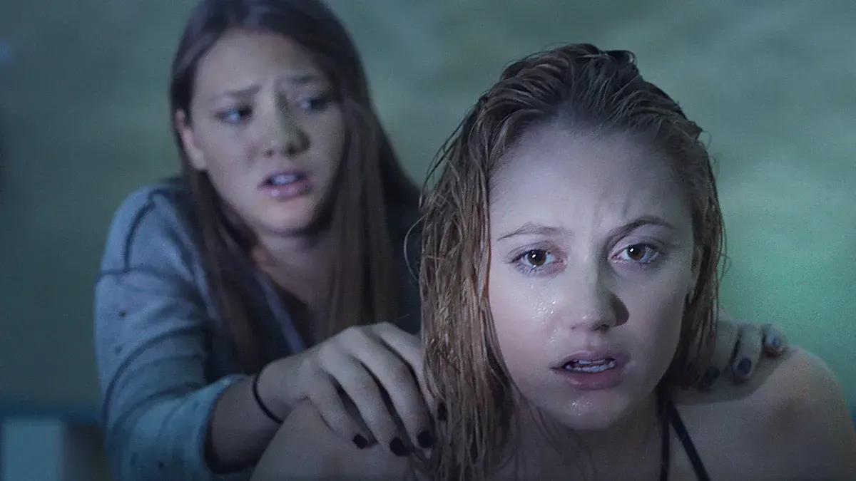 «It Follows», ένα από τα καλύτερα horror του 21ου αιώνα, και «Σνόουντεν» δια χειρός Όλιβερ Στόουν